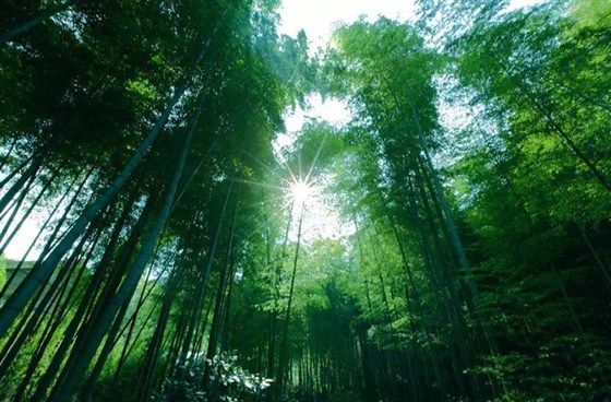 卓越前行 越无止境——在天目湖水世界和南山竹海中领略夏日激情