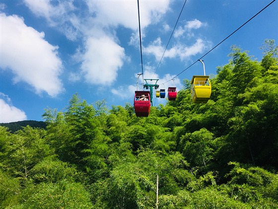 卓越前行 越无止境——在天目湖水世界和南山竹海中领略夏日激情