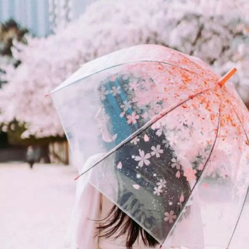 深圳西部宝安益田“天地芳华 樱你而来”樱花主题美陈
