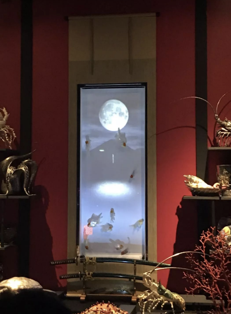 京都梦幻金鱼现代艺术美陈展 京都梦幻金鱼现代艺术美陈展 京都梦幻金鱼现代艺术美陈展