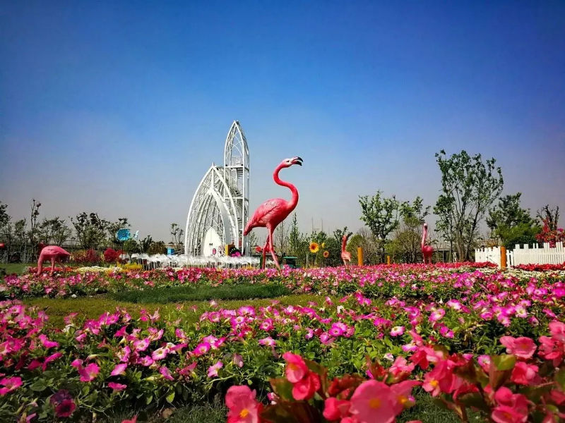 上海奇迹花园花海场景美陈展